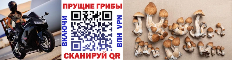 Псилоцибиновые грибы MAGIC MUSHROOMS  купить  сайты  Саяногорск 